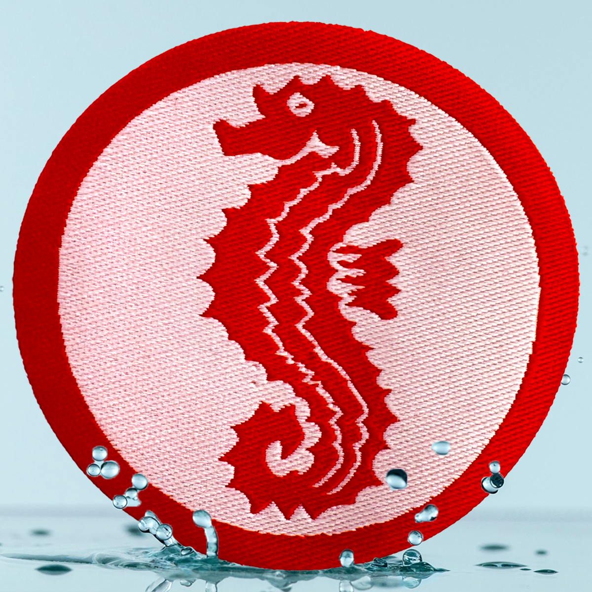 Frühschwimmer Seepferdchen (Urkunde und Aufbügler)